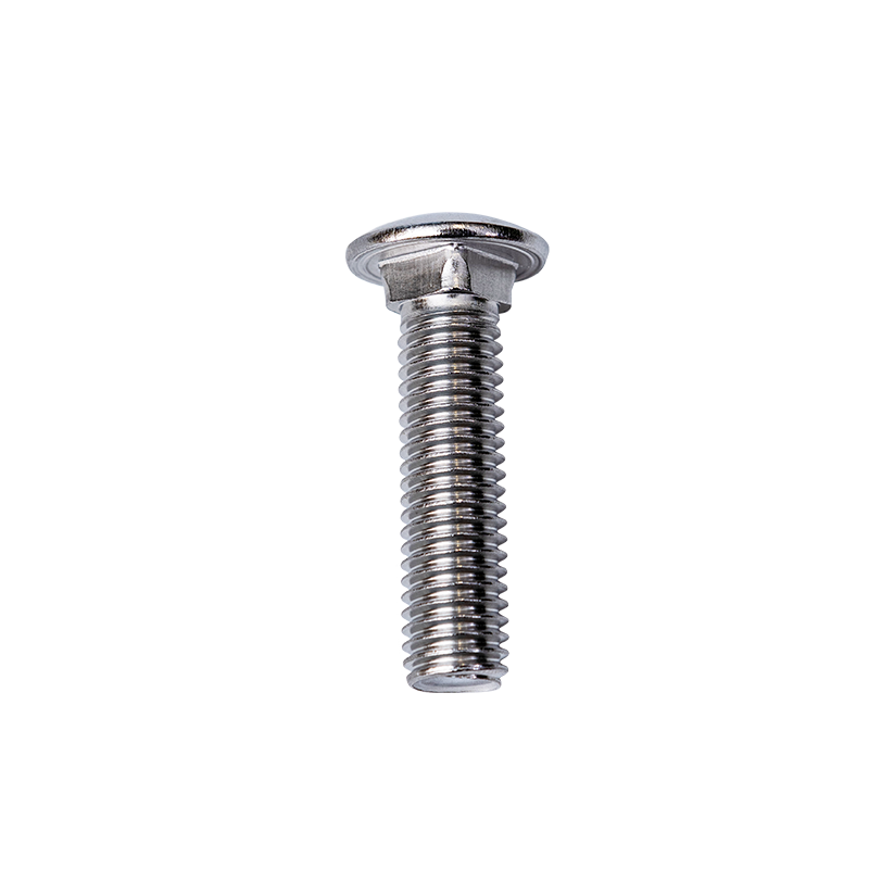 SS304 DIN603 M10 CUP CUP SQUARE BECK